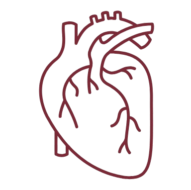 troubles vascu troubles vascu